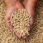 PELLETS